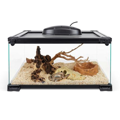 Zilla QuickBuild Reptile 10 Gallon Glass Terrarium Habitat with Bedding Tray For Geckos, Snakes, Lizards, Frogs, Turtles, and Tortoises, 20" x 12" x 10" - size: 20x12x10
