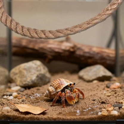 1 Pack 21.7" Hermit Crab Climbing Toys Hanging Hermit Crab Rope Ladder Reptile Vines Toys Reptile Tank Terrarium Accessories Habitat Decor for Leopard Gecko Lizards Frog