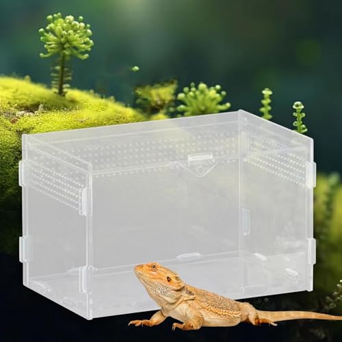 Reptile Breeding Box Terrarium Habitat Tank Transparent Acrylic Enclosure with Ventilation Holes for Snakes Frogs Turtles Geckos Small Animals- 20x12x12cm