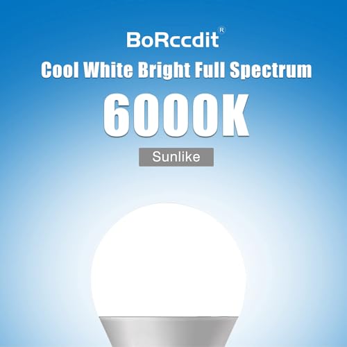 BORCCDIT Full Spectrum 6000K Natural Sunlight Bulbs, 9W Equivalent to 60W, Cool White Light, A19, E26/E27 Base (Pack of 4) - color: 6000k Cool White, size: 4 Packs