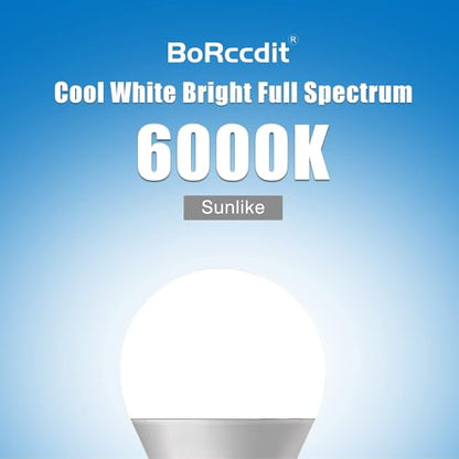 BORCCDIT Full Spectrum 6000K Natural Sunlight Bulbs, 9W Equivalent to 60W, Cool White Light, A19, E26/E27 Base (Pack of 4) - color: 6000k Cool White, size: 4 Packs