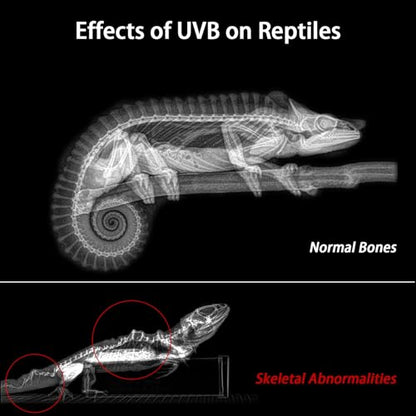 REPTITRIP 27-Inch LED UVB Reptile Light with Auto On/Off & Preset Day-Night Cycle Dimming, 4 UVI Modes Fixture Controller, 22W Aluminum UVA UVB Lamp for Bearded Dragons, Turtles & Snakes, 6500K - size: 27-INCH