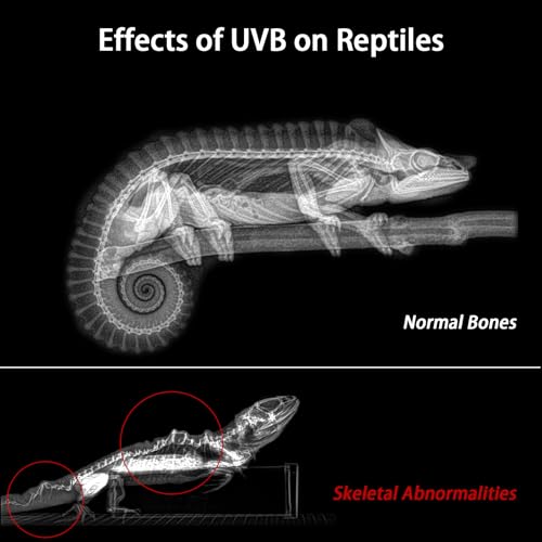 REPTITRIP 16-Inch LED UVB Reptile Light with Auto On/Off & Preset Day-Night Cycle Dimming, 4 UVI Modes Fixture Controller, 14W Aluminum UVA UVB Lamp for Bearded Dragons, Turtles & Snakes, 6500K - size: 16 INCH