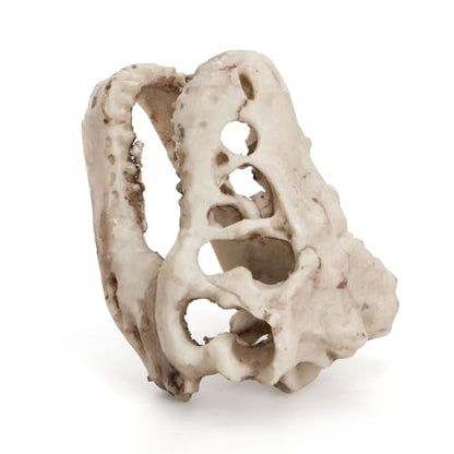 Lawei 4 Pieces Aquarium Resin Skull Ornaments, Desert Reptile Hideouts Decorations, Human Skeleton Dinosaur Cattle Skull for Fish Tanks Decorative, Small Decor Statue Cave Landscape Pet Reptile House