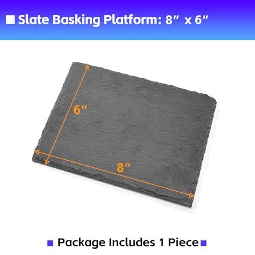 Natural Slate Basking Platform for Reptiles Bearded Dragon Tortoise Turtle Habitat Accessory Heat Retention, Anti-Slip Design, Feeding Tray Functionality, and Superior Water Absorption (8'' x 6'') - size: 8'' x 6''