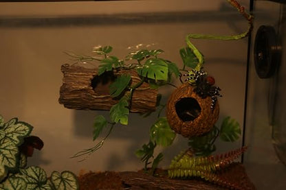 AQUA KT Reptile Jumping Spider Enclosure Hideout Hide Rock with Climbing Vine for Small Insects Jumping Tarantulas Amphibian Terrariums Habitat Decoration