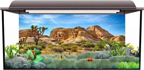 36X14 Inches Bearded Dragon Tank Background Durable Polyester Terrarium Background, Joshua Tree National Park Desert Cactus Sandstone Backdrop for Reptile Habitat Tank - size: 36X14 Inches