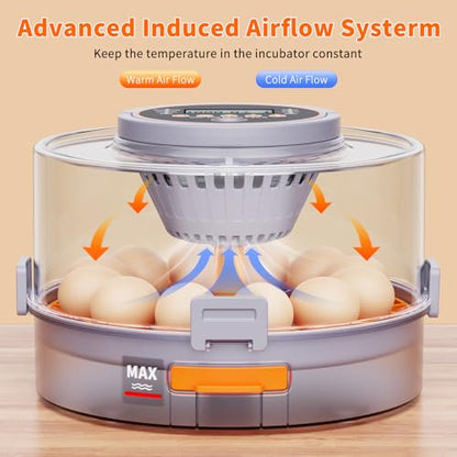 Egg Incubators for Hatching Eggs for Home, Classroom and Lab | 12 Incubator for Chicken Eggs,Duck,Goose,Quail,Snake,Egg Incubator with Automatic Egg Turning and Humidity Control