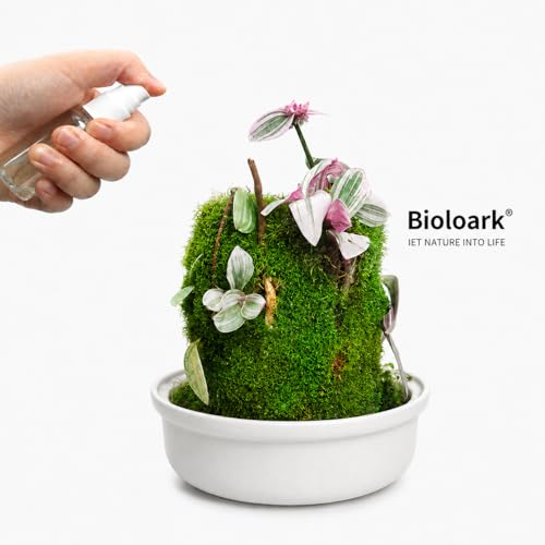 Bioloark MY-150K Glass Plant Terrarium with Ceramic Base, 6.4” x 6.7” White, Moss Terrarium Container with Clear Glass Cover, Ventilation Holes, Moisture Cycle Lid for Ferns, Succulents & Small Plants - color: MY-150K (6.4 "X6.7")White