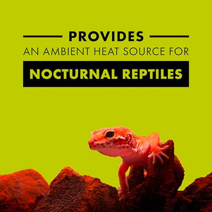 Zilla Incandescent Bulb, Night Red, Ideal for Nocturnal Reptile Species - size: 150 Watts, style: Night Red