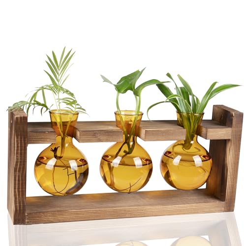 Kingbuy Glass Plant Terrarium Propagation Station - 3 Bulb Colored Vases with Retro Wood Stand Indoor Garden Planter - Wall Mount Desktop Decor for Home Kitchen Wedding, Plant Lover Gift, Amber - color: Amber