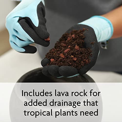 Miracle-Gro Tropical Potting Mix, 6 qt. (2-Pack) | Growing Media for Tropical Plants Living in Indoor and Outdoor Containers - size: 2 Pack, style: Potting Mix