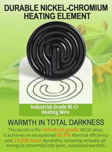2-Pack 100W Ceramic Heat Lamp with 1-pcs Digital-Thermometer, Infrared Heat Emitter Bulbs for Reptiles, Amphibians, Chicken Brooder Coop Lizard Turtle Snake, No Light No Harm