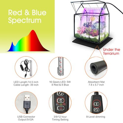 Plant Terrarium Kit with Grow Light, Rifny Large Glass Terrarium Jar with Absorbent Mat and Lid for Venus Fly Trap Succulent Live Air Plants Indoor Home Office Decor (Black, 8.9 x 5.9 x 9.9 inch) - size: Black-Large with Plant Light