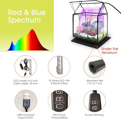 Plant Terrarium Kit with Grow Light, Rifny Large Glass Terrarium Jar with Absorbent Mat and Lid for Venus Fly Trap Succulent Live Air Plants Indoor Home Office Decor (Black, 8.9 x 5.9 x 9.9 inch) - size: Black-Large with Plant Light