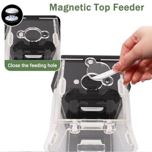 Acrylic Spider Enclosure Coffin House with Magnetic Lock | Coffin-Shaped House, Magnetic Lock & Feeding Port, No Tools Assembly, Jumping Spider Habitat, Easy Clean
