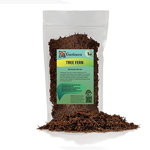 GARDENERA's Premium New Zealand Tree Fern - 1 Quart - Growing Medium for Orchids and Epiphytes | Provides Optimal Drainage and Aeration - color: TREE FERN, size: 1 Quart