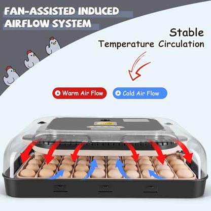 Sailnovo Incubators for Hatching Eggs 70 Egg Incubator with Auto Egg Turning & Auto Humidification, Temperature Control, Incubator for Chicken Duck Quail Eggs, Perfect for Lab School Farm, Gray&Yellow