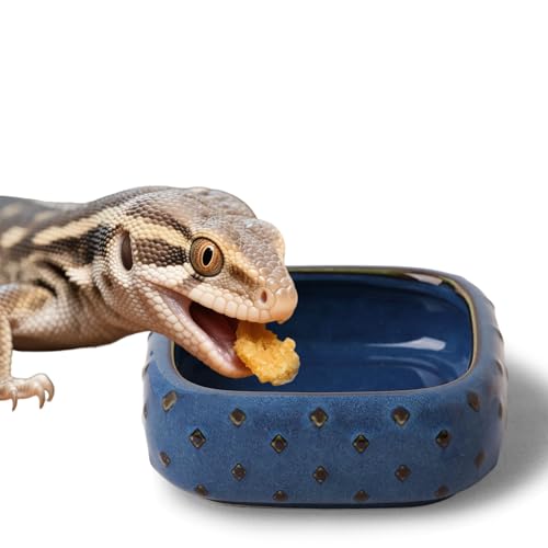 2-Pcs Ceramic Reptile Food Bowl, Mini Reptile Feeder (Farmhouse Blue) - color: Farmhouse Blue