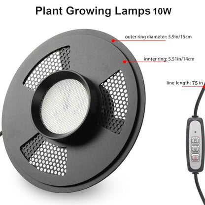 Desktop Glass Plant Terrarium with Grow Light (H:9.8" D:5.9"), for Succulent, Moss, Miniature Gardening Landscape, Betta Fish Tank, Office Home Decoration, Plant Lovers Gifts