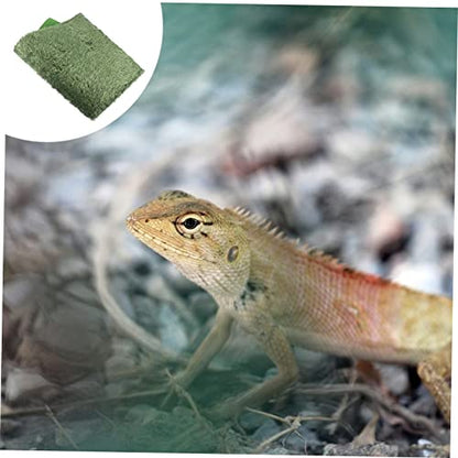 Abaodam 2pcs Reptile Decor Lizard Carpet Moss Reptile Mat Snake Tank Liner Washable Reusable
