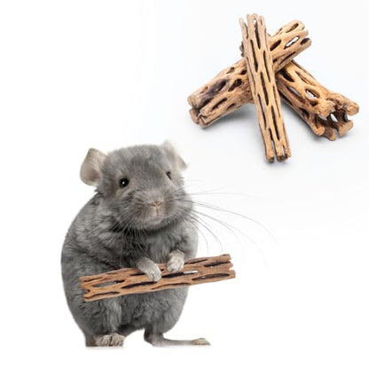 SubstrateSource Natural Cholla Wood - Driftwood for Aquariums, Air Plant Base, Hermit Crab and Freshwater Shrimp Hideout, Fish Tank Decoration, Chinchilla Chews, Reptile Habitat Wood - 6 Inch, 2pc - size: 6 inch (Pack of 2)