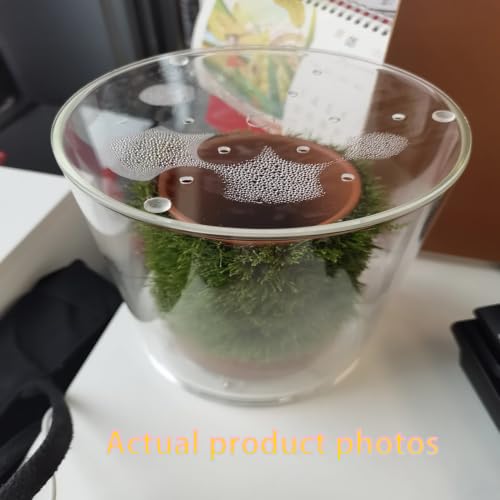 Clear Round Acrylic Aquarium Lid 5mm Anti-Escape Cover，Turtle Tank lid(A,22cm(8.66in)) - color: A, size: 22cm(8.66in)