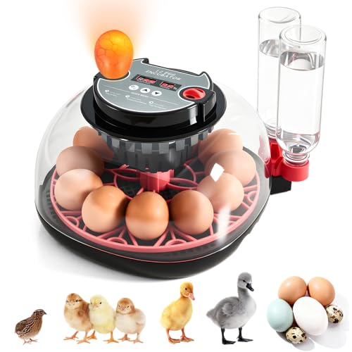Incubators for Hatching Eggs - 12 Egg Capacity, Egg Incubator with Automatic Egg Turning and Temperature Control, Incubator for Chicken, Duck, Goose, Quail, 360° Full View, Home Farm Classroom Use - color: Red - 12 Egg