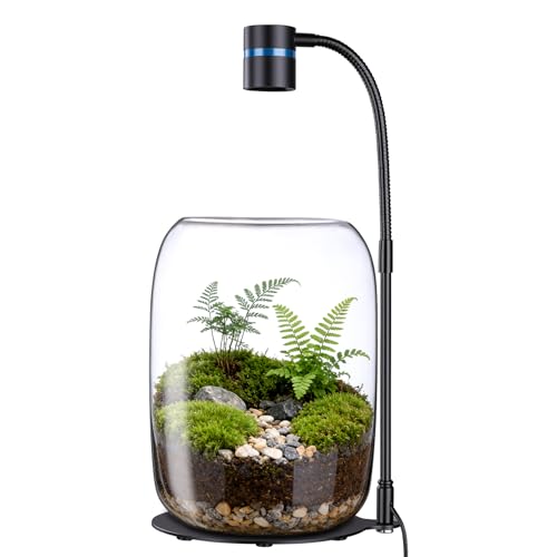 Glass Plant Terrarium with LED Grow Light, Grow Light for Terrarium, Small Desktop Indoor Planter for Venus Fly Trap, Moss & Succulents, Borosilicate Decor Jar for Plant Lovers