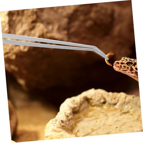 Precision Stainless Steel Feeding Tweezers Long Handle Reptile Feeding Tong Simple Maintenance for Pet Care