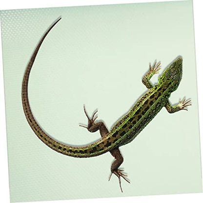 Mikikit Reptile Carpet Mat for Terrarium Bedding Durable Eva Substrate Liner for Bearded Dragon Leopard Gecko and Other Reptiles Easy to Clean Non-Absorbent Design - color: Light Green