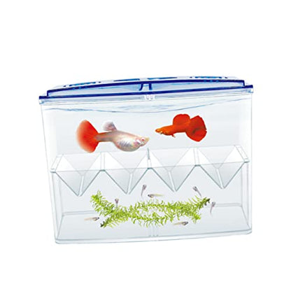 1pc Small Fish Breeding Tank Breathing Freestanding Self-Floating Isolation Box for Hatching and Incubation of Fish Fry