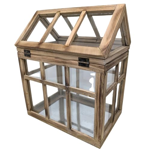 Orchid & Ivy Large Rustic Wood & Glass Plant Succulent Terrarium with Lid - 12" x 9.8" x 7" Decorative Farmhouse Tabletop Greenhouse Display for Air Plants, Dioramas, Fairy Gardens, Candle Lantern