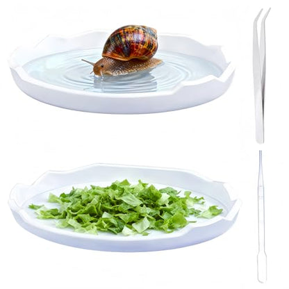 2 Pack Snail Food and Water Bowl，atural Design Food Bowl for Pet Snails, Garden Snails Pet Land Snail Supplies(White) - color: white