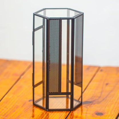 NCYP Glass Enclosure Terrarium with Mesh and Door for Small Spiders - Hexagon Shape, Small Mantis Vented Glass Terrarium 4.1'' x 3.6'' x 7.8'', Tabletop Decor, Black (Plants Not Include) - size: 4.1'' x 3.6'' x 7.8''