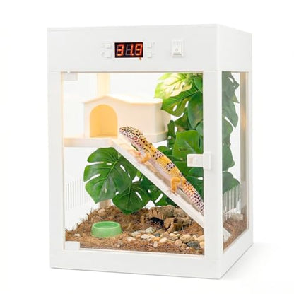 Lizard Habitat Terrarium,Reptile Enclosure, Crested Gecko Tank, Suitable for Any Pets Requiring Temperature-Controlled Climate, Ecological Breeding Tank, No Assembly Required, 9" x 9" x 12"