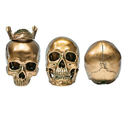 ECYC 1:1 Resin Human Skull Model Halloween Props Home Decorations High Fidelity Skull Head Sculpture Life Size, Bronze