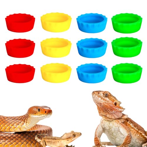 hhfvvda12 PCS Reptile Feeding Cup, Colorful Crested Gecko Food Bowl, Snake Water Dish, Bearded Dragon Terrarium Accessories