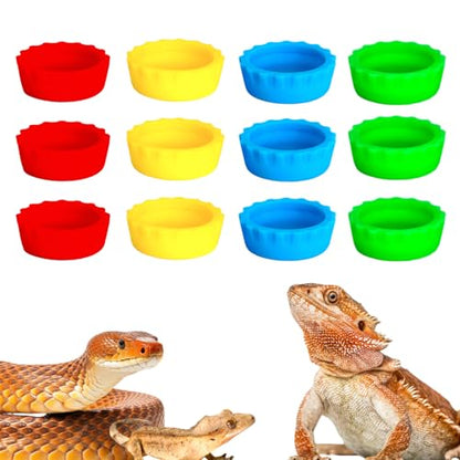hhfvvda12 PCS Reptile Feeding Cup, Colorful Crested Gecko Food Bowl, Snake Water Dish, Bearded Dragon Terrarium Accessories