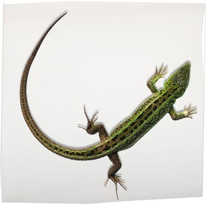 Washable Reptile Carpet Terrarium Mat for Bearded Dragon Snake Lizard Tortoise Leopard Gecko Soft Substrate Bedding Liner Light Beige