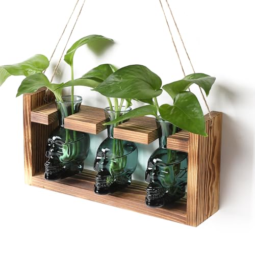 Plant Terrarium Propagation Stations Hydroponics Halloween Skull Planter | Vase skulls decor With Wooden Stand Gife for Father - color: Dark Green