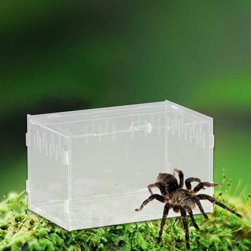 Reptile Breeding Box Terrarium Clear Animal Habitat Cage with Ventilation Holes for Geckos Frogs Hermit Crabs- 25x15x15cm - size: 25x15x15cm