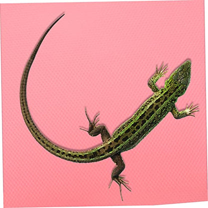 YARNOW 200m Reptile Carpet for Bearded Dragon Gecko Snake Turtle Easy Clean Non-Slip Mat for Terrarium Decor