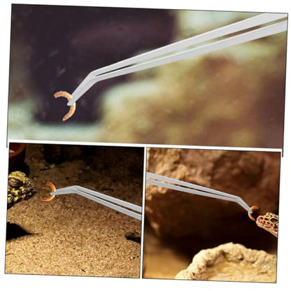 Precision Stainless Steel Feeding Tweezers Long Handle Reptile Feeding Tong Simple Maintenance for Pet Care
