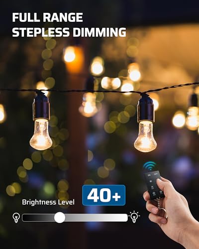 DEWENWILS Outdoor Dimmer for String Lights, 125V, 100FT Remote Control Range, Waterproof Plug- in Dimmer for Dimmable LED/Tungsten Bulbs - size: Dimmer with 2 outlets