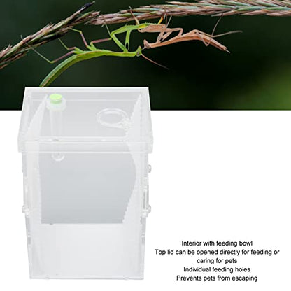 Reptile Enclosure Tank, Mini Acrylic High Transparency Moisturizing Reptile Breeding Box, Acrylic Reptile Cage Terrarium Tank for Tarantula Scorpion Sling Isopods(L)