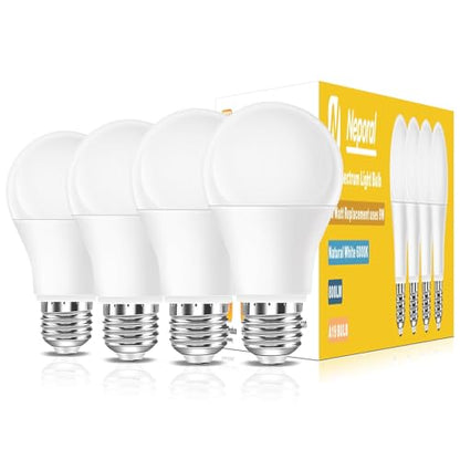 Full Spectrum Light Bulb, 6000K Natural Sunlight Bulbs, 9W 60W Equivalent LED Light Bulb, Natural Light Bulbs A19, E26/E27, 4 Pack - color: 6000k Daylight, size: 4 Count (Pack of 1)