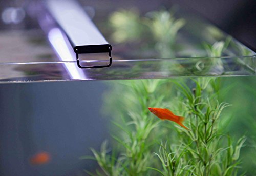 Current USA Satellite Freshwater LED Light for Aquarium, 36 to 48-Inch