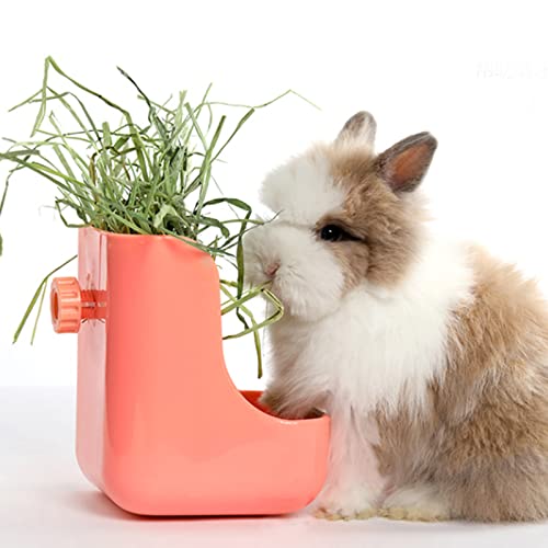 Timothy Hay, 2.2LBS Small Pet Feed | Premium dust free natural fresh timothy hay, for rabbits, tortoises, guinea pigs, chinchillas, 2 packs of 1.1lbs each