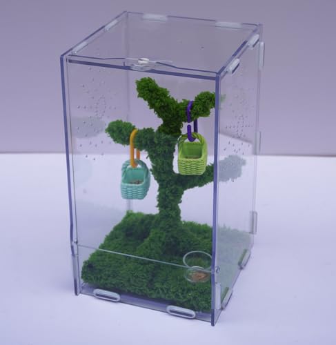 Jumping Spider Enclosure Kit with Acrylic Habitat, Feeding Tongs & Decor – 8.66"x5.12"x4.72" Ventilation Terrarium for Pet Spiders, Reptiles & Small Arboreal Pets
